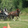 (091) Concours Attelage La F.Fouesnant 7-8 mai 2018