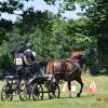 (091) Concours Attelage La F.Fouesnant 7-8 mai 2018