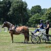 (091) Concours Attelage La F.Fouesnant 7-8 mai 2018