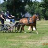 (091) Concours Attelage La F.Fouesnant 7-8 mai 2018