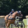 (091) Concours Attelage La F.Fouesnant 7-8 mai 2018