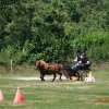 (091) Concours Attelage La F.Fouesnant 7-8 mai 2018