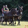 (091) Concours Attelage La F.Fouesnant 7-8 mai 2018