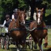 (091) Concours Attelage La F.Fouesnant 7-8 mai 2018