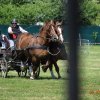(091) Concours Attelage La F.Fouesnant 7-8 mai 2018