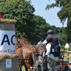 (091) Concours Attelage La F.Fouesnant 7-8 mai 2018