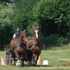 (091) Concours Attelage La F.Fouesnant 7-8 mai 2018