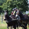 (091) Concours Attelage La F.Fouesnant 7-8 mai 2018