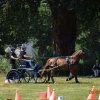 (091) Concours Attelage La F.Fouesnant 7-8 mai 2018