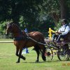 (091) Concours Attelage La F.Fouesnant 7-8 mai 2018