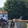 (091) Concours Attelage La F.Fouesnant 7-8 mai 2018