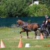 (091) Concours Attelage La F.Fouesnant 7-8 mai 2018