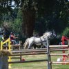 (091) Concours Attelage La F.Fouesnant 7-8 mai 2018