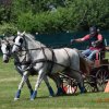 (091) Concours Attelage La F.Fouesnant 7-8 mai 2018