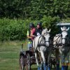 (091) Concours Attelage La F.Fouesnant 7-8 mai 2018