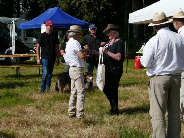 2018-2-attelageconcours