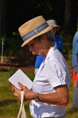 2018-2-attelageconcours