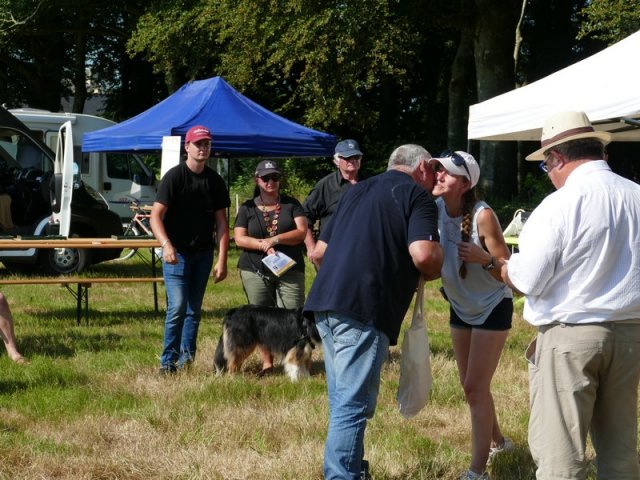 2018-2-attelageconcours