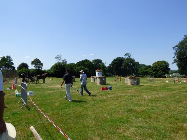 2018-2-attelageconcours