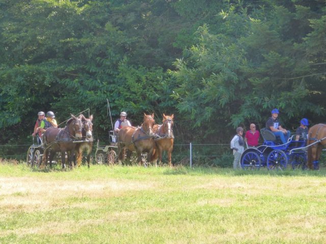 2018-2-attelageconcours