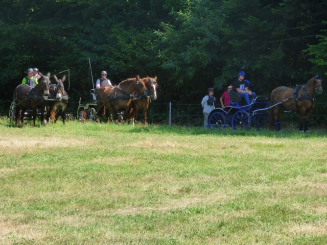 2018-2-attelageconcours