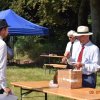 2018-2-attelageconcours