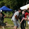 2018-2-attelageconcours