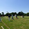 2018-2-attelageconcours