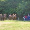 2018-2-attelageconcours