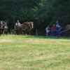 2018-2-attelageconcours