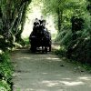 (090) Rando Fouesnant du 24 juin 2018
