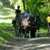 (090) Rando Fouesnant du 24 juin 2018