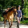 (090) Rando Fouesnant du 24 juin 2018