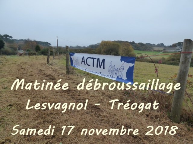 (94) Débroussaillage à Plovan 2018
