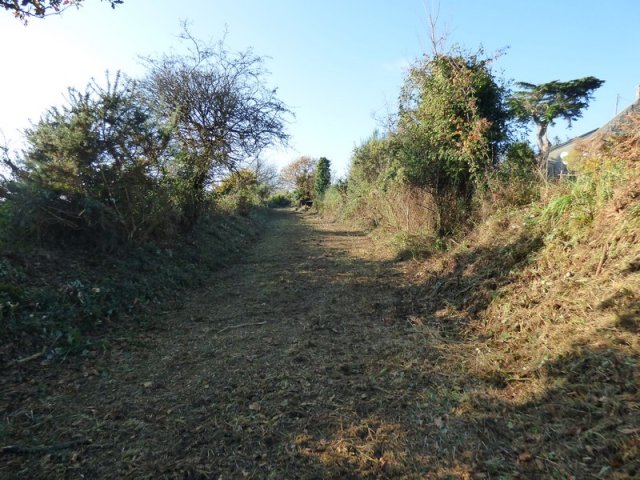 (94) Débroussaillage à Plovan 2018