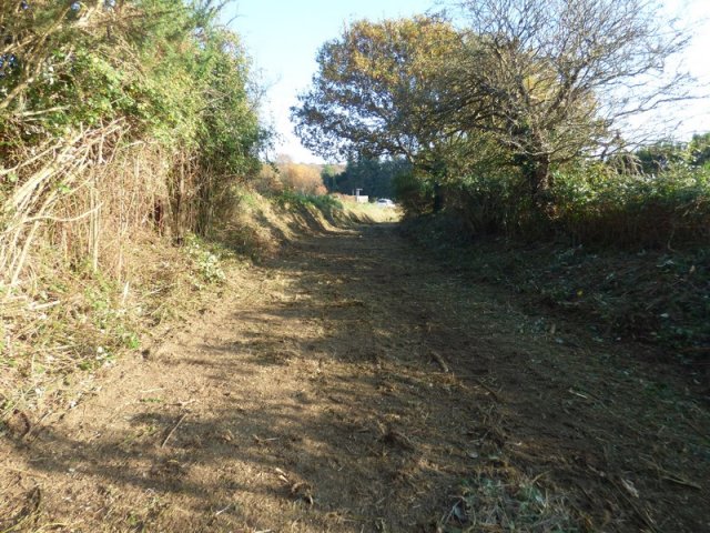(94) Débroussaillage à Plovan 2018