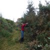 (94) Débroussaillage à Plovan 2018