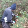 (94) Débroussaillage à Plovan 2018