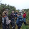 (94) Débroussaillage à Plovan 2018