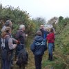 (94) Débroussaillage à Plovan 2018