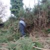 (94) Débroussaillage à Plovan 2018