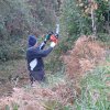(94) Débroussaillage à Plovan 2018