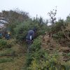 (94) Débroussaillage à Plovan 2018