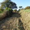 (94) Débroussaillage à Plovan 2018