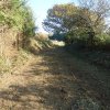 (94) Débroussaillage à Plovan 2018
