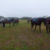 (093) RANDO DU CAP 23 sept 2018