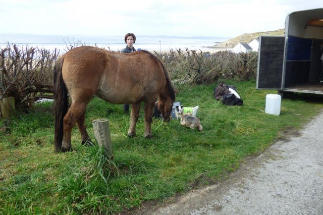 (086) Rando 24-25 mars 2018 dans le Porzay