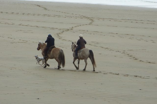 (086) Rando 24-25 mars 2018 dans le Porzay