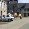 (086) Rando 24-25 mars 2018 dans le Porzay