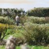 (086) Rando 24-25 mars 2018 dans le Porzay